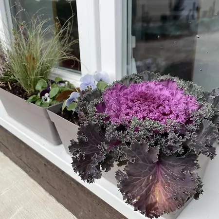 De France - Le Chant Des Oiseaux Holiday home Vierville