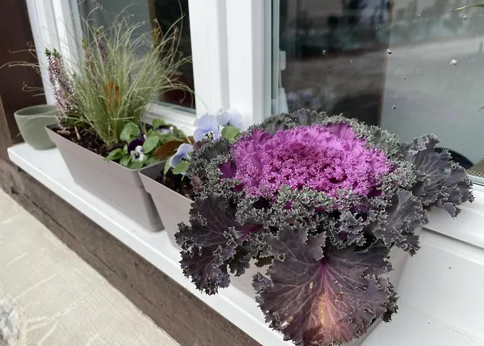 De France - Le Chant Des Oiseaux Holiday home Vierville